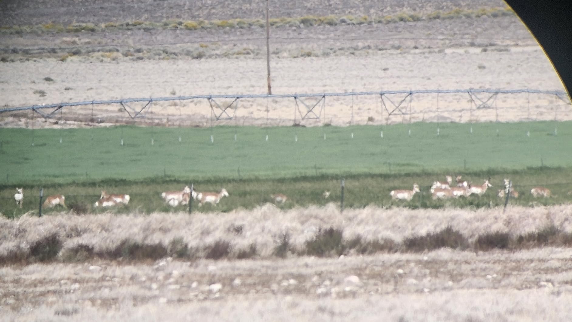 Vortex Viper HD Spotting Scopes customer photo 2
