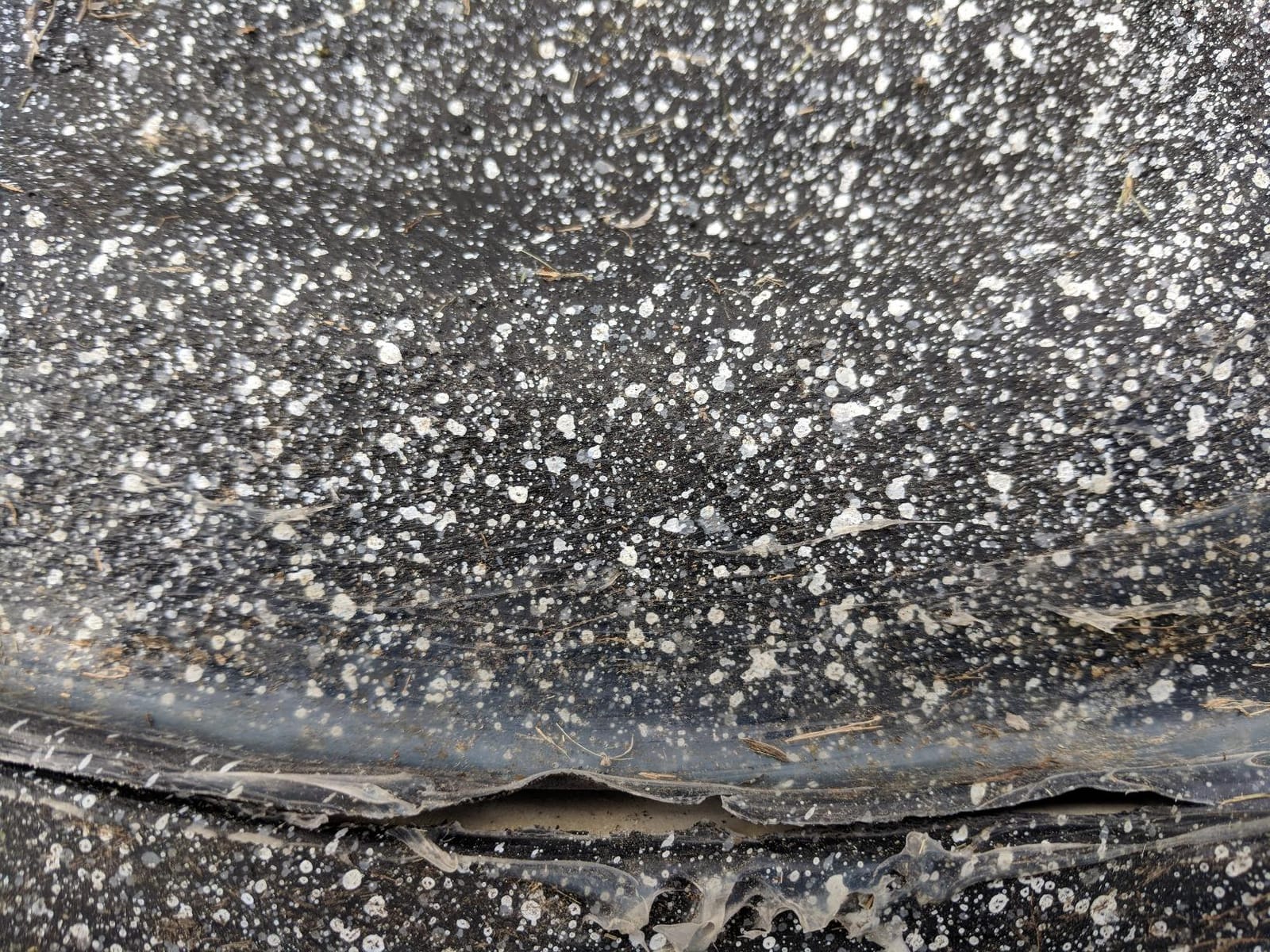 Theater Solutions 2R8G Outdoor Granite 8