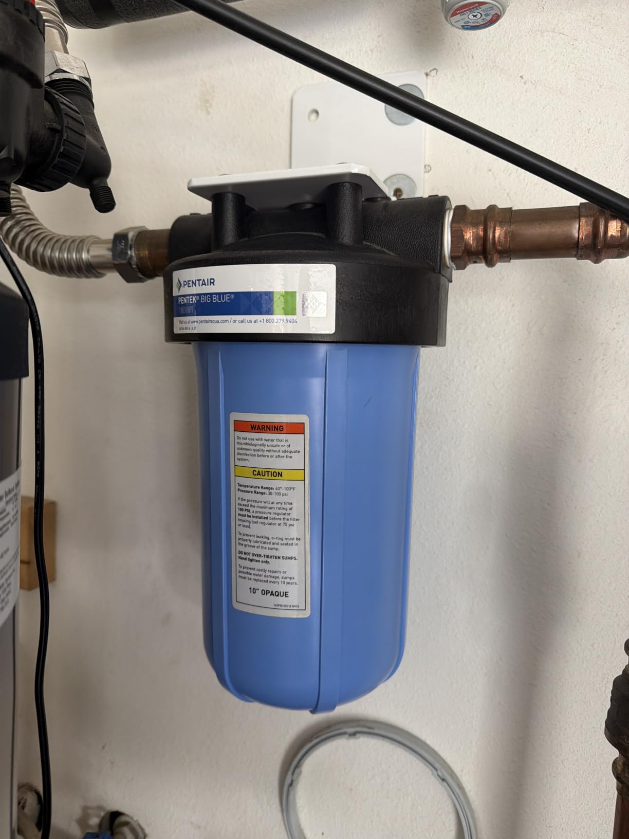 Pentair OMNIFilter RS6 Sediment Water Filter, 10
