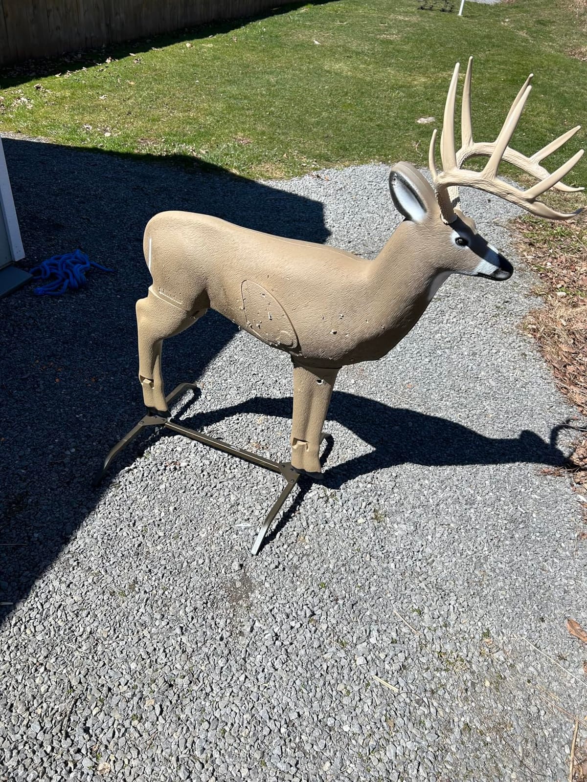 SHOOTER Buck 3D Archery Target, Replaceable Insert for Long Life, Weather-Resistant Construction, High-Density Impact-Response Foam Withstands Field Points, Broadheads, and Expandables customer photo 2