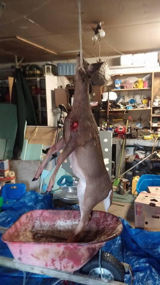 Grim Reaper Fixed & Mechanical Broadheads 100 & 125 Grain Hunting customer photo 1