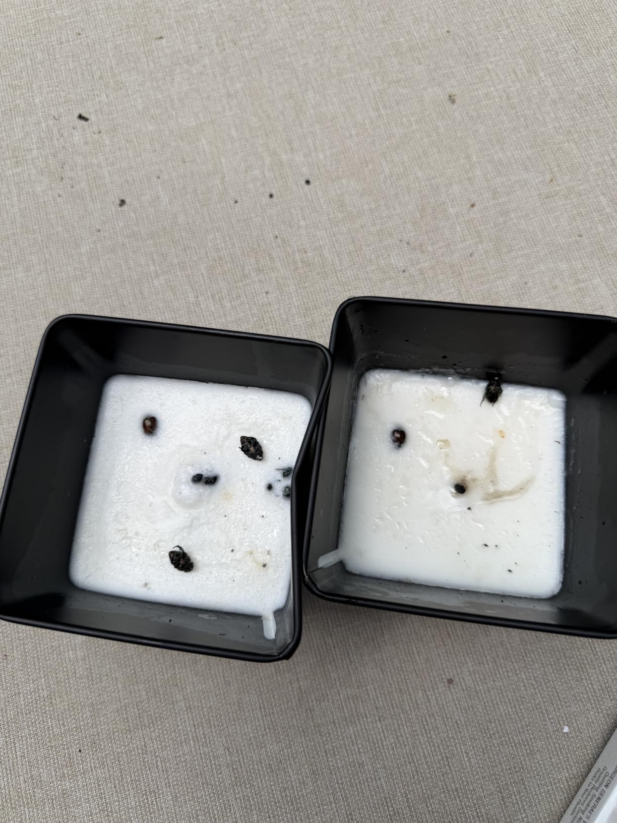 OFF! Backyard Citronella Outdoor Candle, 8 oz (2-Pack) customer photo 2