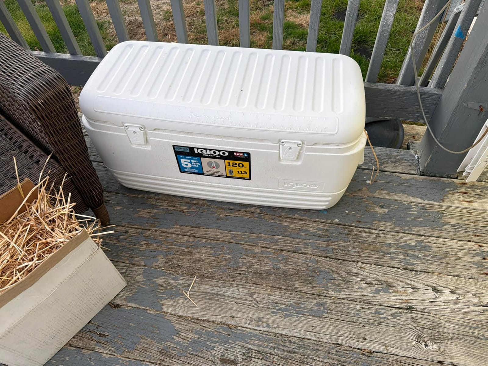 Igloo Hard Cooler | Polar & Party Bar Series | Insulated Ice Chests customer photo 2
