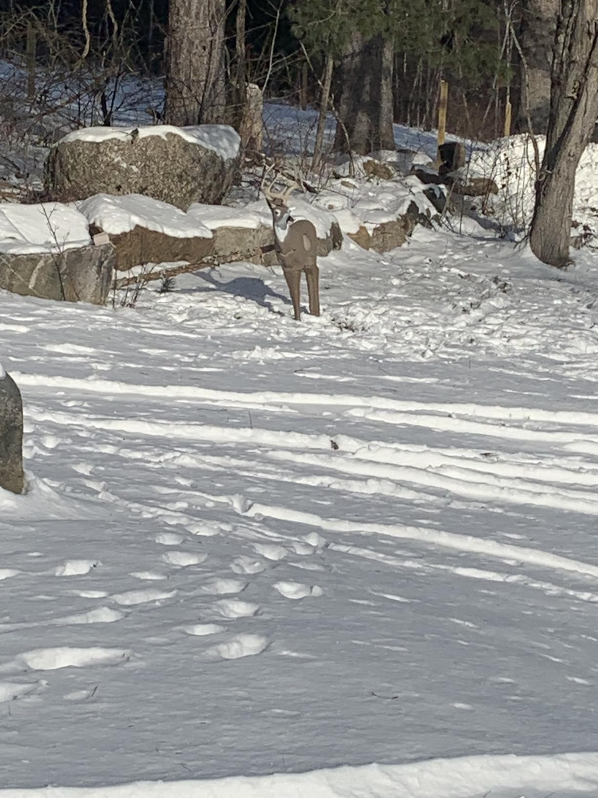 Riverbottom Challenger 3D Archery Target customer photo 2