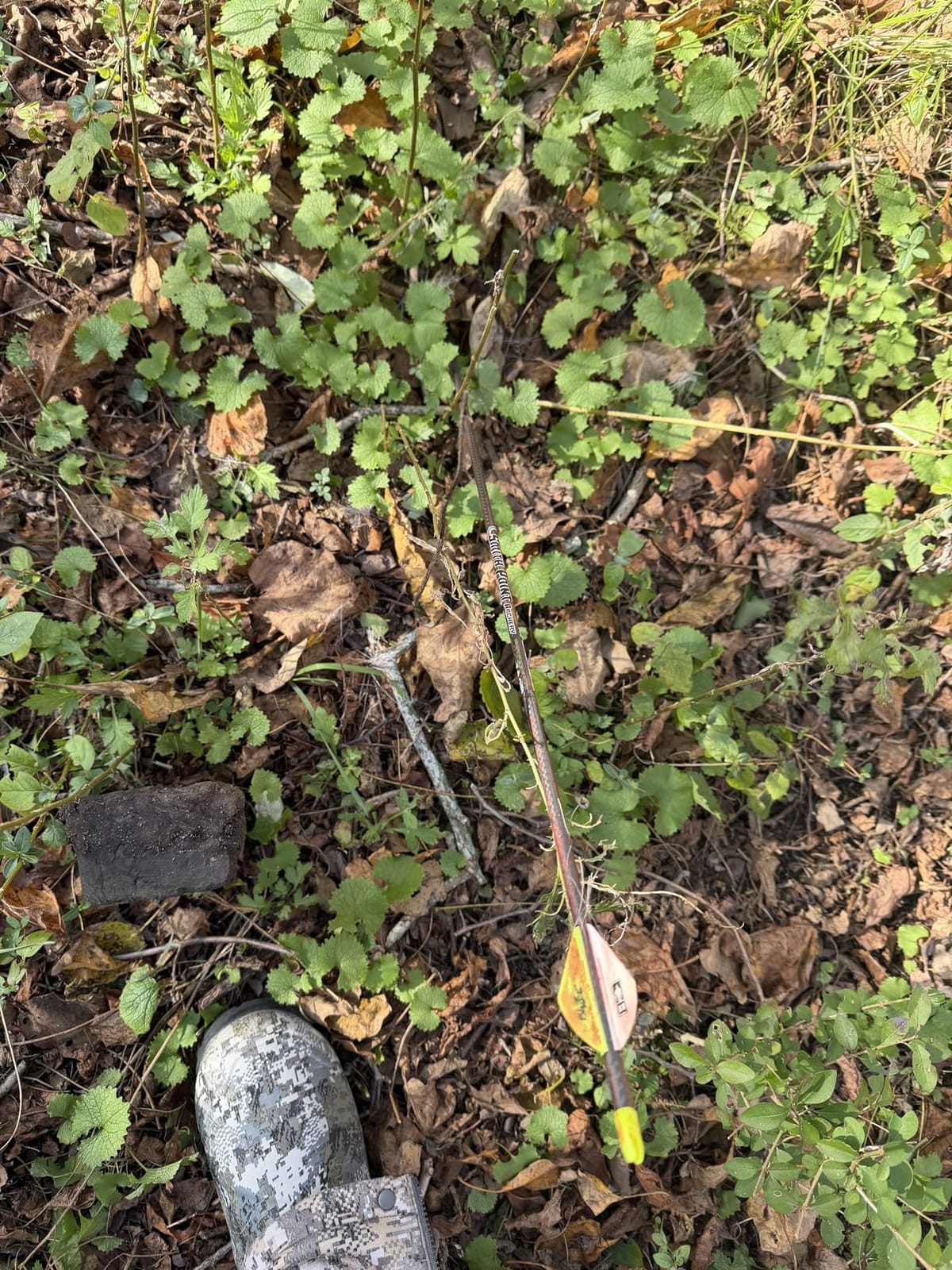 QADFixed Blade Broadheads customer photo 1
