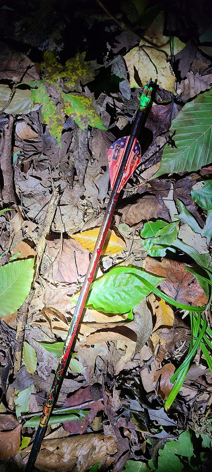 QADFixed Blade Broadheads customer photo 2