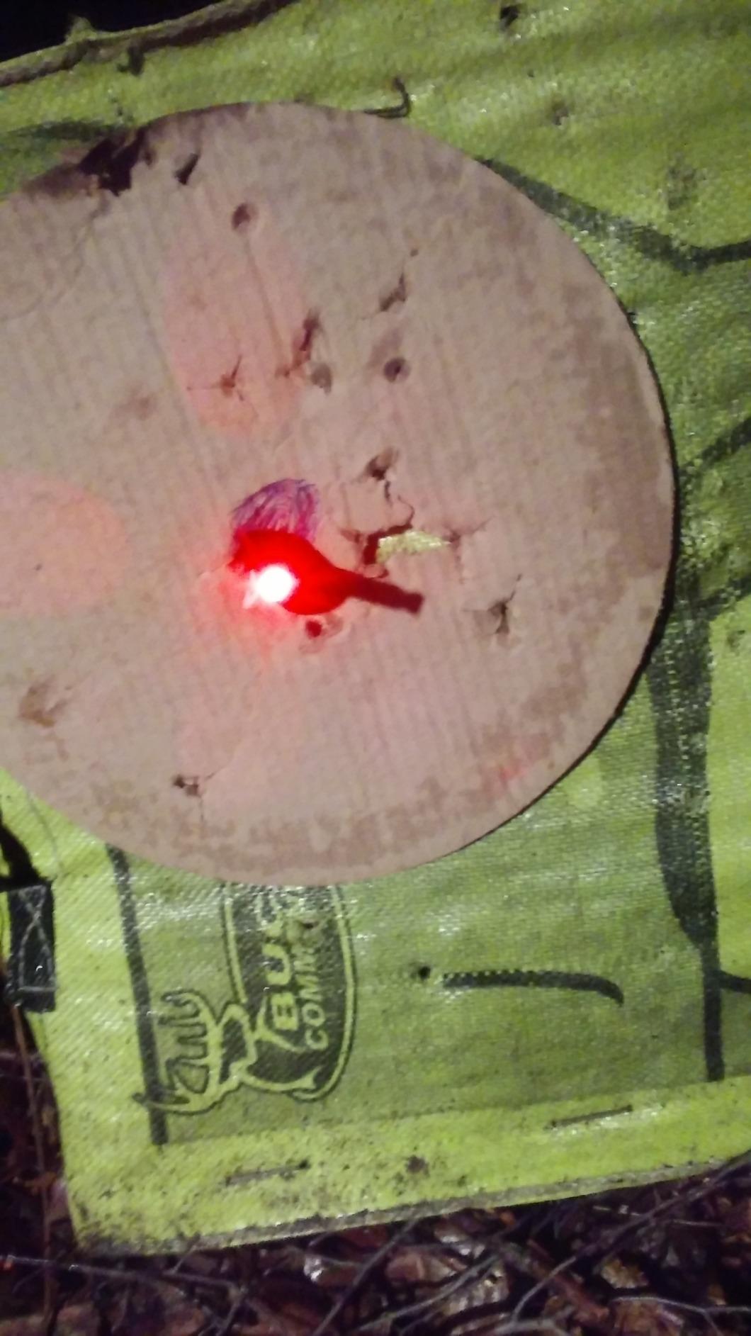 Bloodsport Crossbow Bolts customer photo 1
