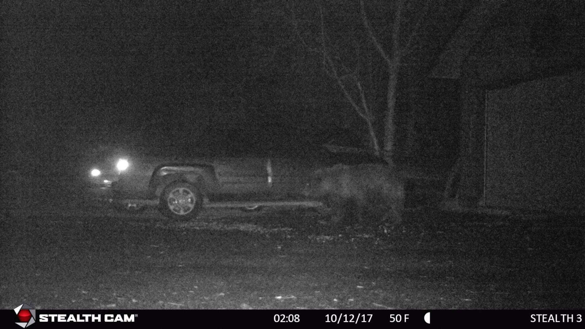 Stealth Cam outdoor Cam 1080p G42NG No Glo Trail and Wildlife Camera. Day or night proven reliability. Designed and Engineered in the USA customer photo 2