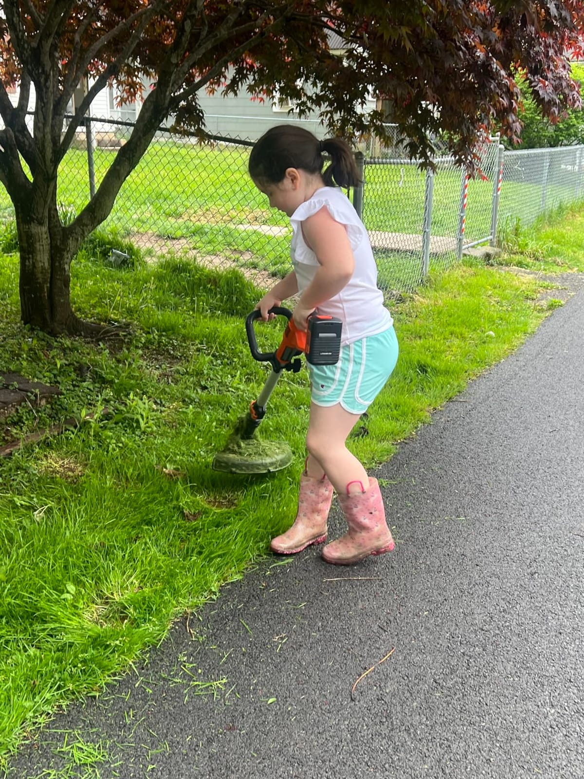 BLACK+DECKER 40V MAX 13 in String Trimmer Edger Cordless with Adjustable Telescoping Pole, 2 in 1 Weed Wacker Lawn Edger, Includes Battery and Charger (LST136) customer photo 1