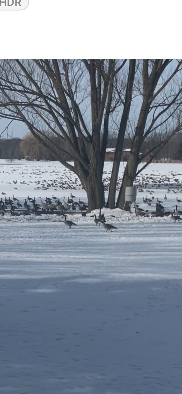 Wildgame Innovations Quick-Set 270 lb Game Feeder customer photo 2