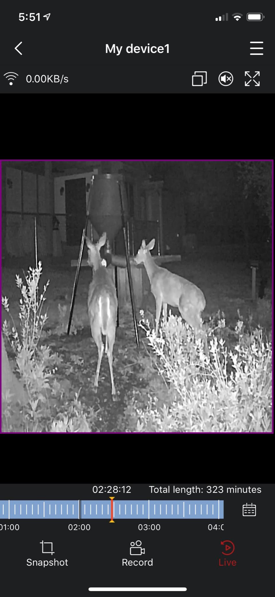Boss Buck Gravity Deer Feeder for Game & Hunting, 200 lb Corn Capacity customer photo 1