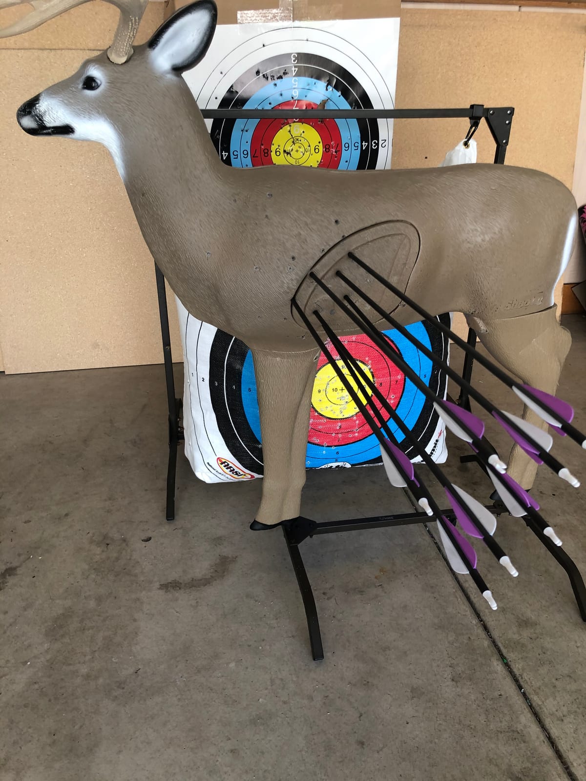 SHOOTER Buck 3D Archery Target, Replaceable Insert for Long Life, Weather-Resistant Construction, High-Density Impact-Response Foam Withstands Field Points, Broadheads, and Expandables customer photo 1