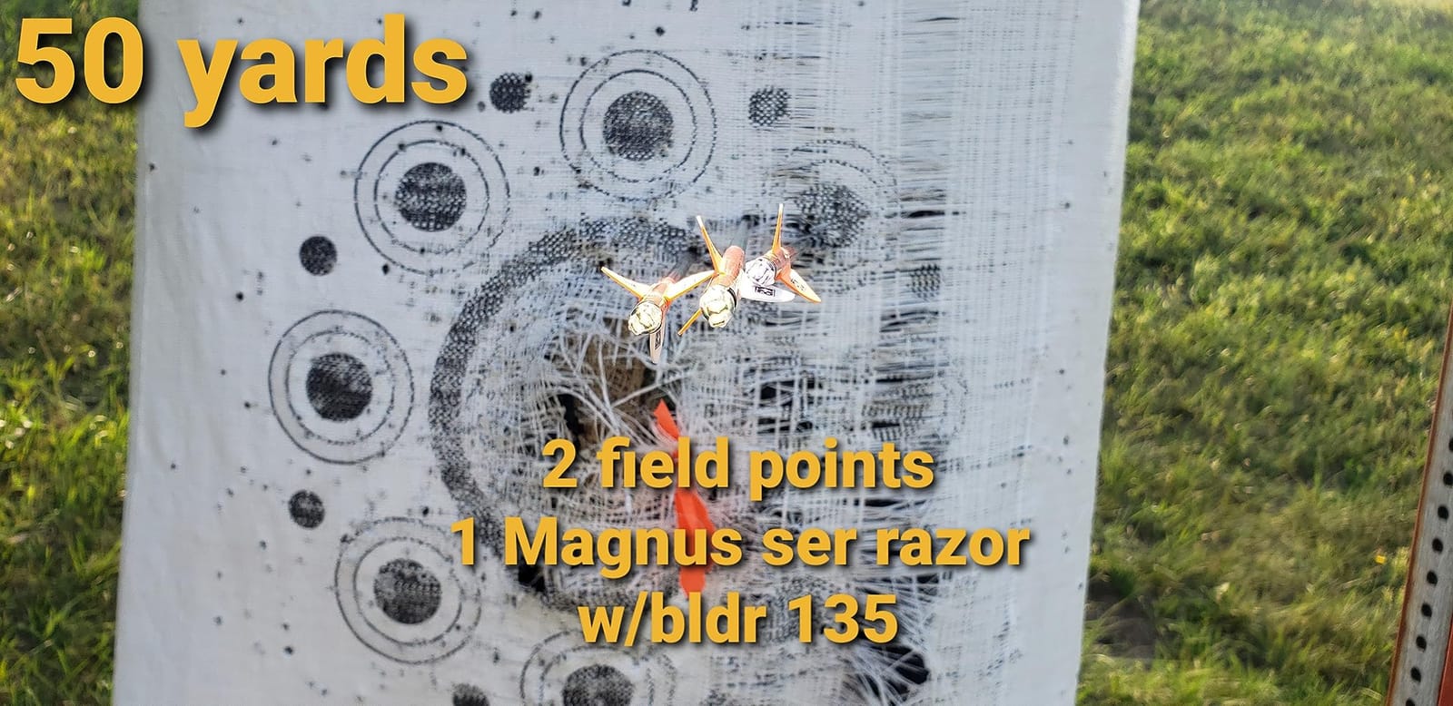 Magnus 4 Blade Hornet Ser-Razor Broadhead (3-Pack) customer photo 1