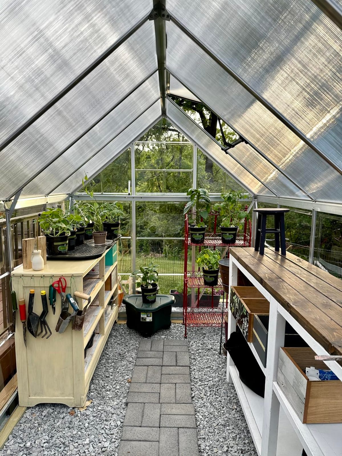 Palram - Canopia Hybrid 6' x 10' Polycarbonate Aluminum Greenhouse, Silver customer photo 1