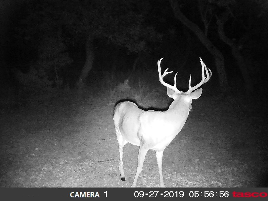 HME T-Post Trail Camera Holder | Compact Sturdy Adjustable Design | Easy Installation & Versatile Compatibility customer photo 2