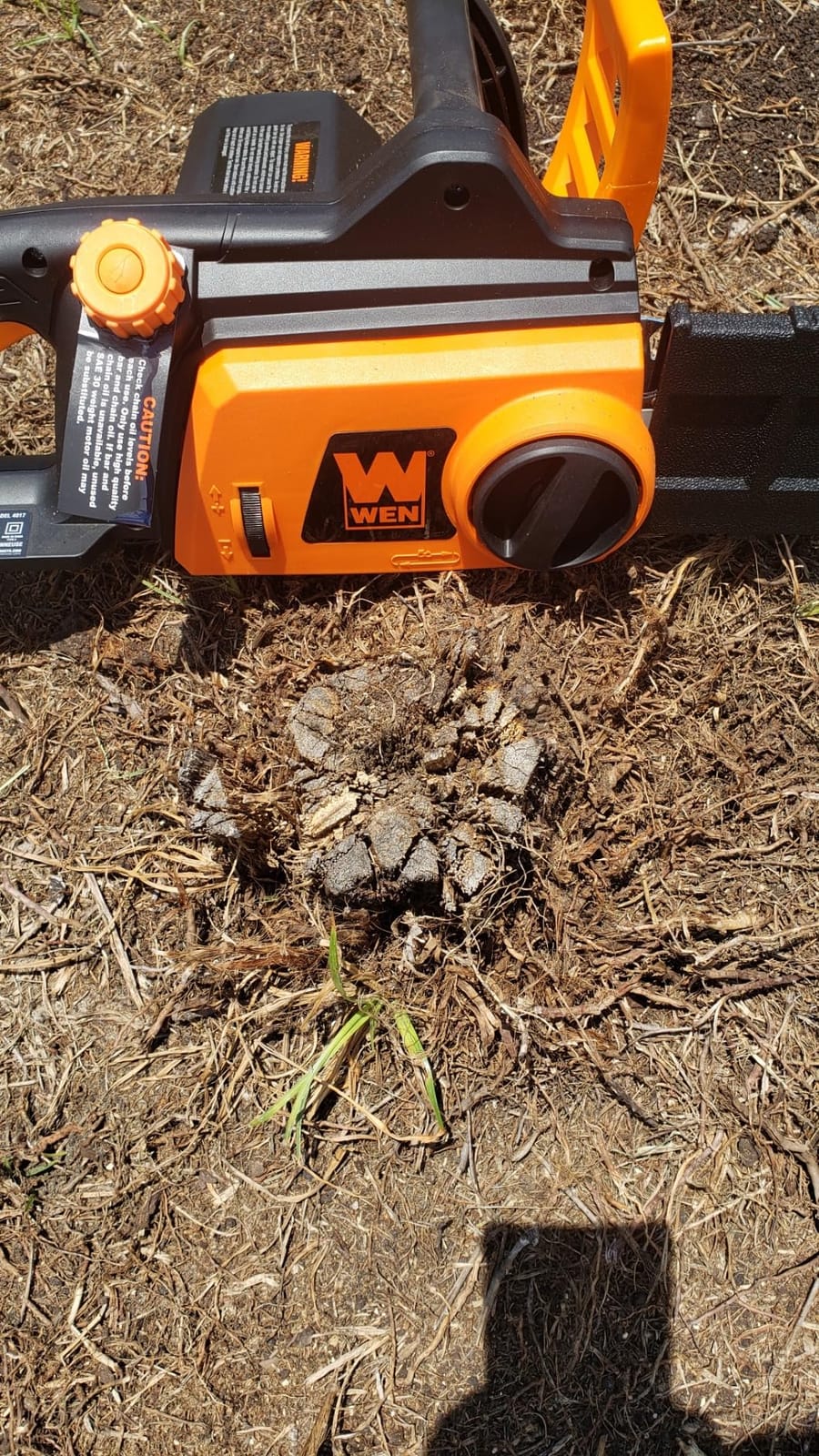 WEN CP1216 Electric Chainsaw, Corded, 12-Amp, 16-Inch customer photo 2