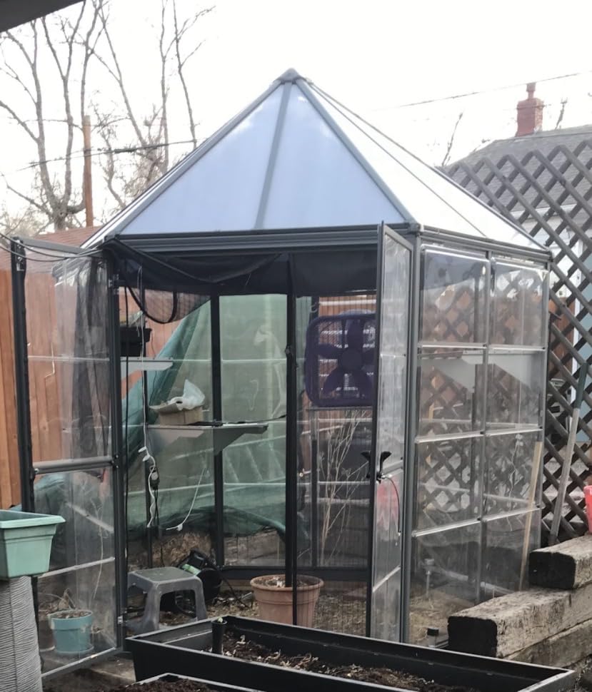 Palram - Canopia Oasis Hex 7' x 8' Polycarbonate Aluminum Greenhouse, Gray customer photo 2