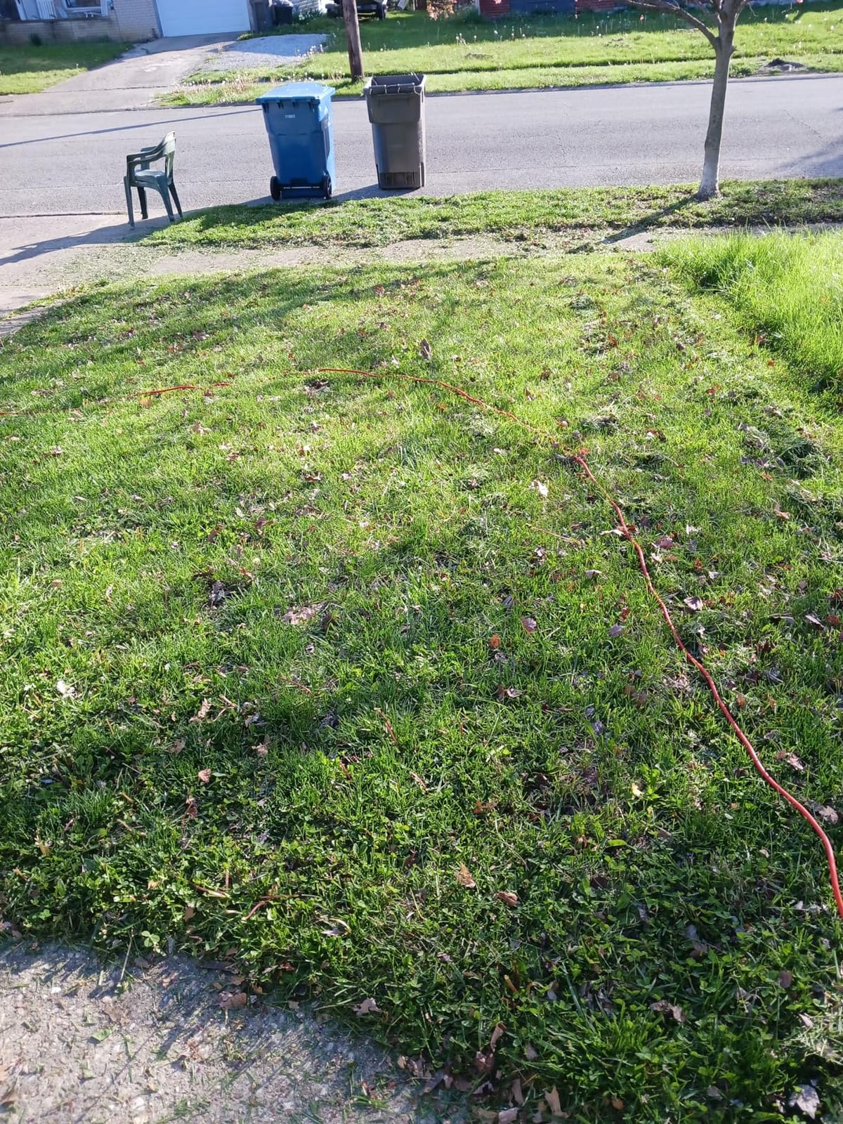 BLACK+DECKER Electric Lawn Mower with Bike Handle, 15-Inch, 10-Amp, Corded (BEMW472BH) customer photo 1