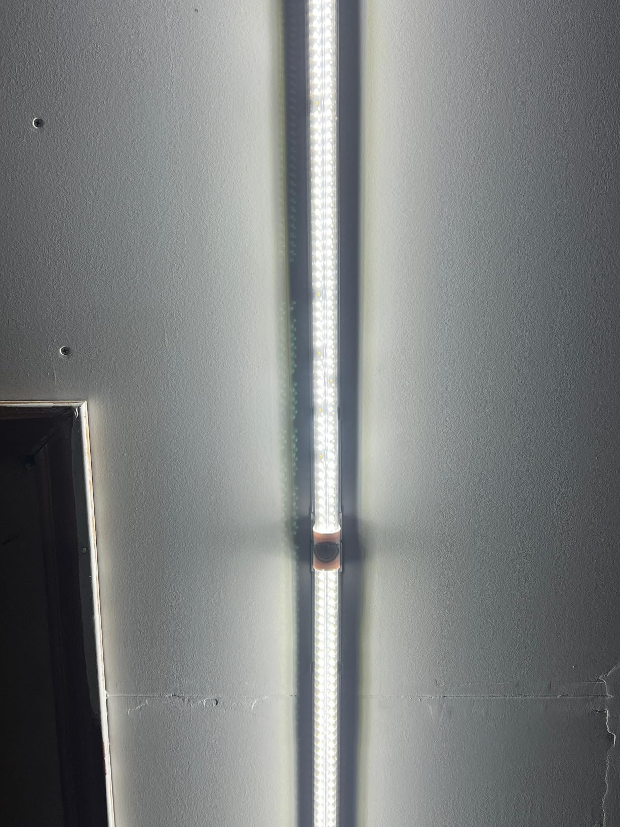 Barrina T8 LED Shop Lights 4FT, 40W 5500LM 5000K, High Output Tube, 6 Packs customer photo 2