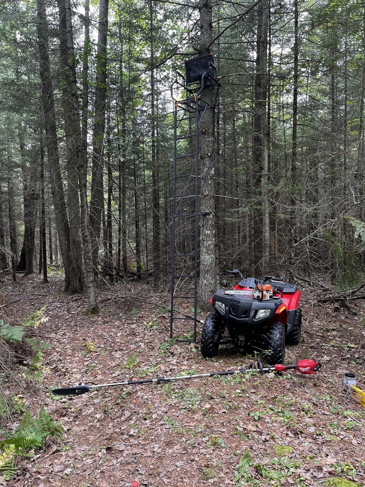 MUDDY Deer Hunting Climbing Adjustable Quiet Heavy-Duty Huntsman Deluxe 17 ft 1-Person Ladder Tree Stand customer photo 1