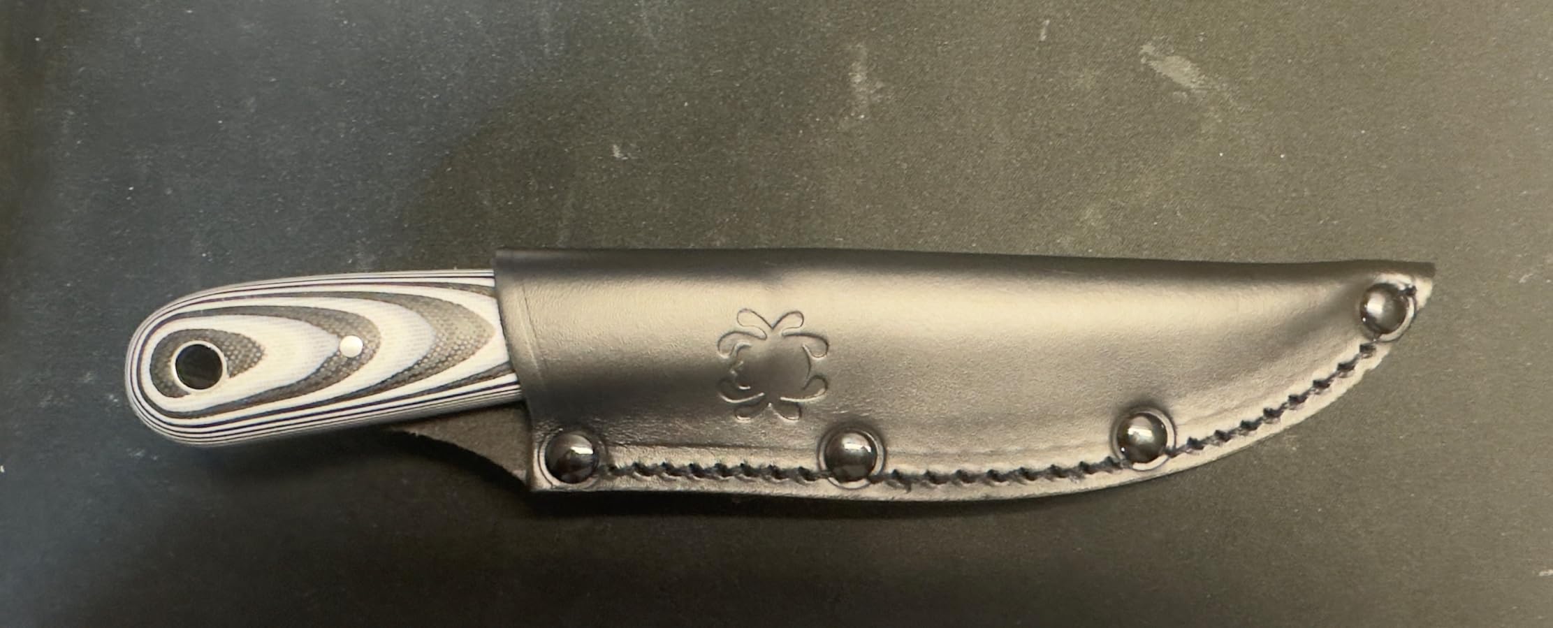 Spyderco Bow River Fixed Blade Outdoor Hunting Knife, PlainEdge customer photo 2