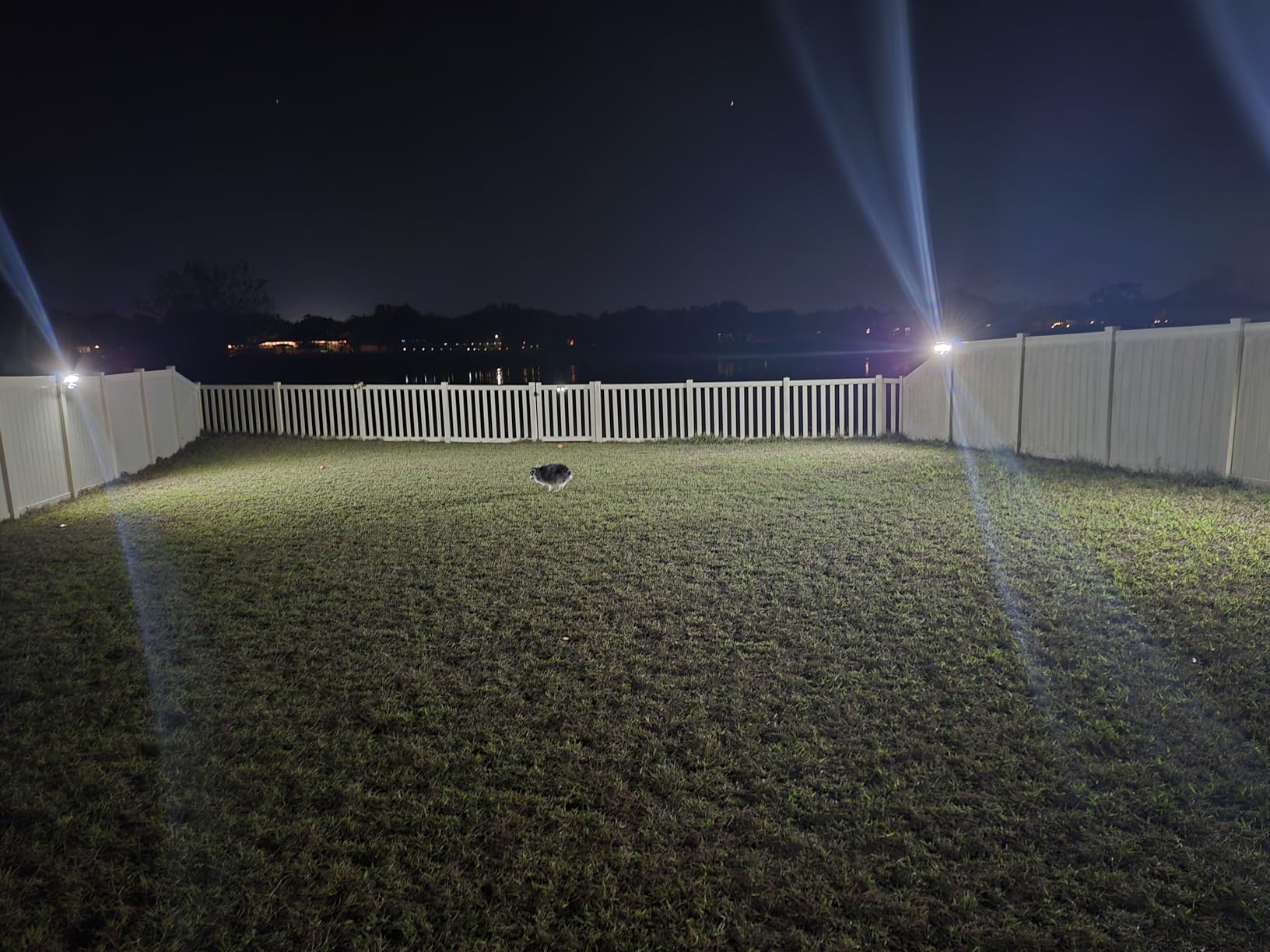 LEPOWER Solar LED Security Lights, PIR Motion Sensor Outdoor, 1600LM, Yard customer photo 1