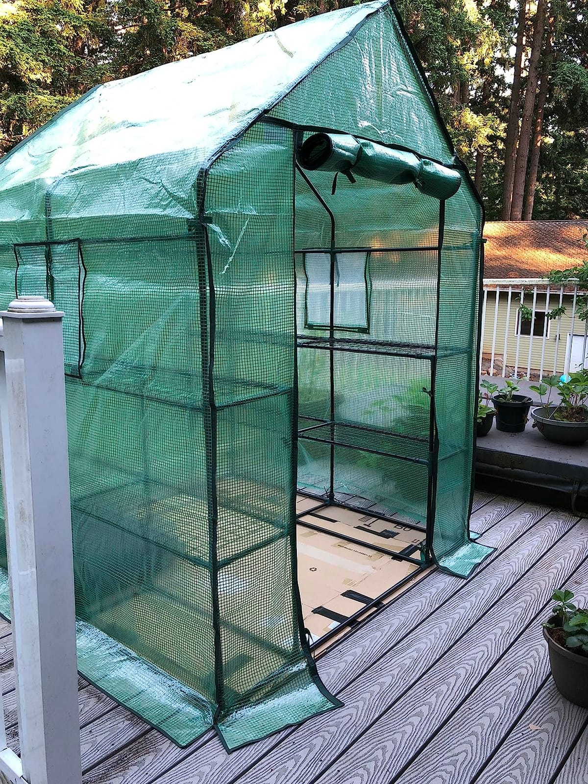 Ohuhu Greenhouse for Outdoors with Mesh Side Windows, 3 Tiers 4 Shelves Small Walk-In Green House Plant Stands Plastic PE Cover Outside Portable Warm House for Seedling Flowers Growing, 4.8x2.5x6.4 FT customer photo 2