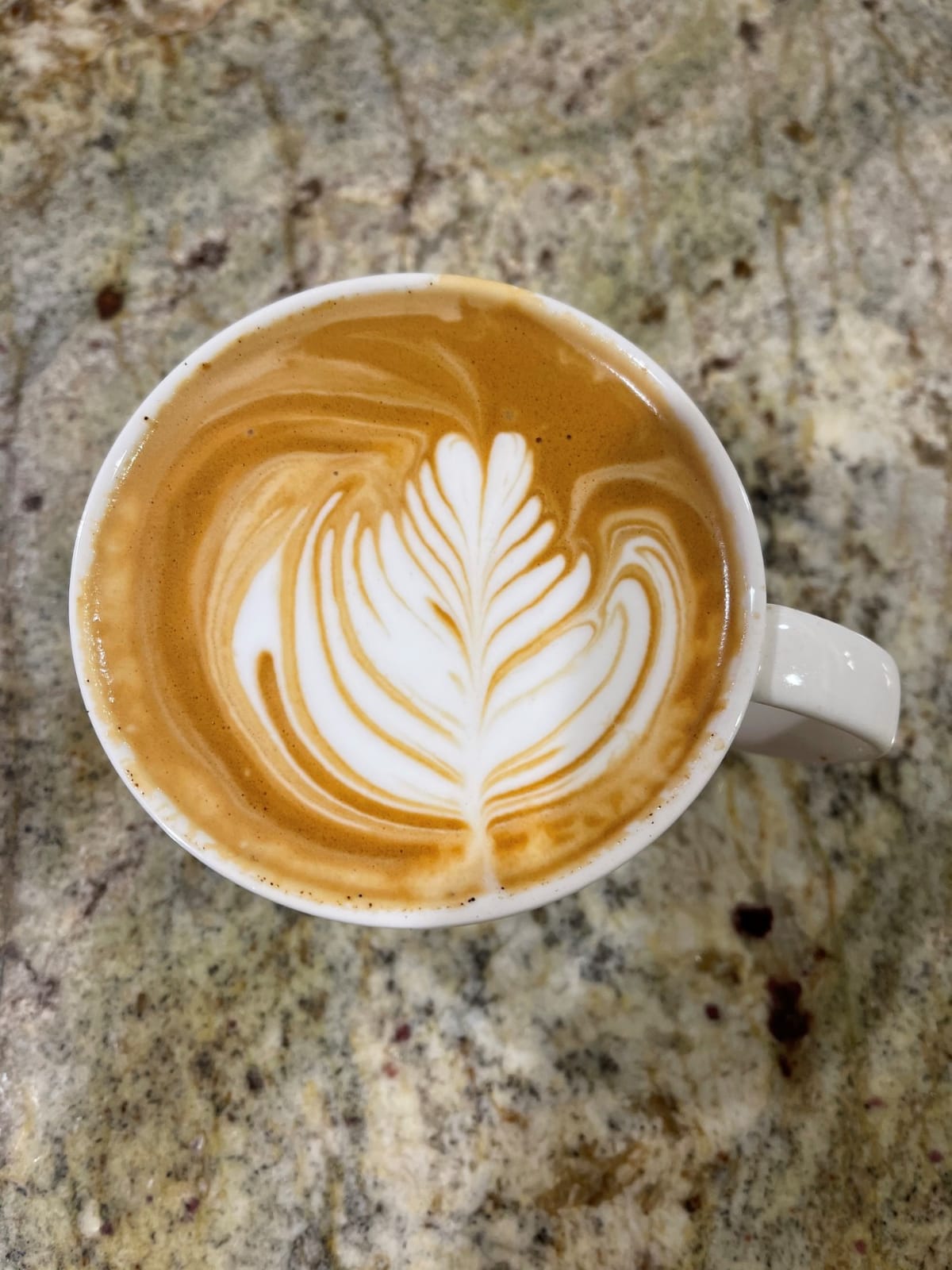 Breville BES878BSS Barista Pro Espresso Machine, Brushed Stainless Steel customer photo 2