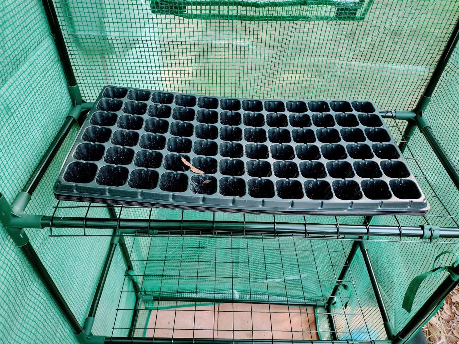 Portable Walk-in Greenhouse for Outdoors, 56x30x76 Plant House with Shelves customer photo 2
