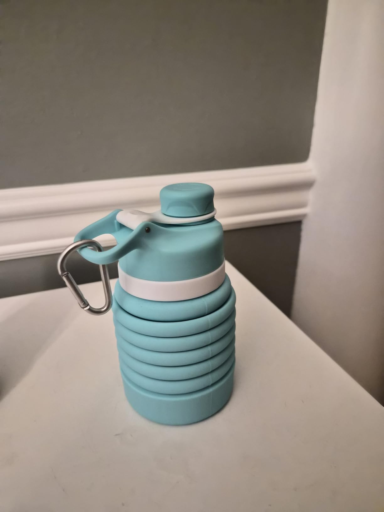 Nefeeko Collapsible Water Bottle, 26oz Silicone Foldable Water Bottles customer photo 2
