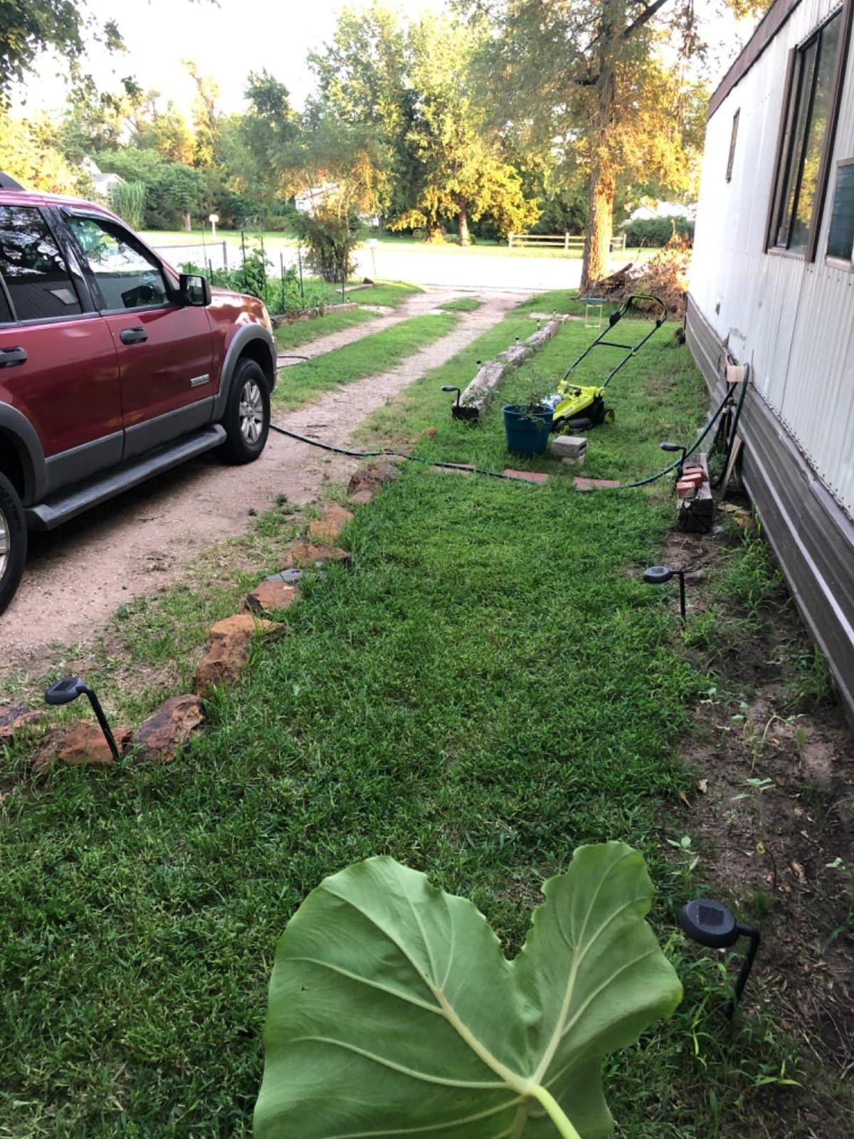 Sun Joe Cordless Electric Push Lawn Mower with 11-Gal Bag, 24V-X2-17LM customer photo 1