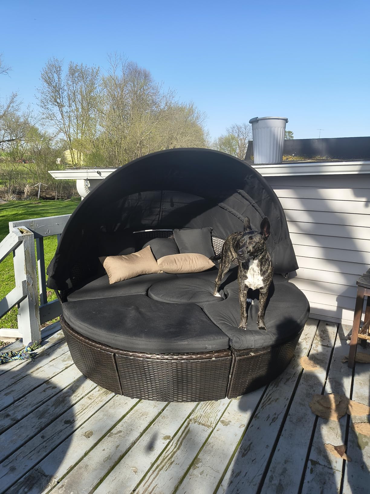 Tangkula Patio Round Daybed with Retractable Canopy, Outdoor Wicker Rattan Furniture Sets, Sectional Cushioned Sofa Set w/Height Adjustable Coffee Table, Rattan Conversation Sets (Black) customer photo 1