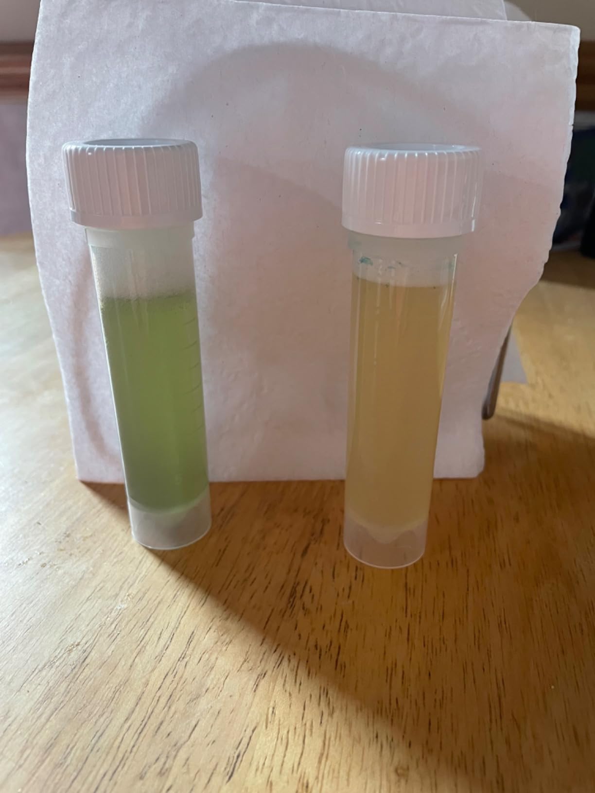 Safe Home DIY Bacteria in Water Test Kit (1 Pack) customer photo 1