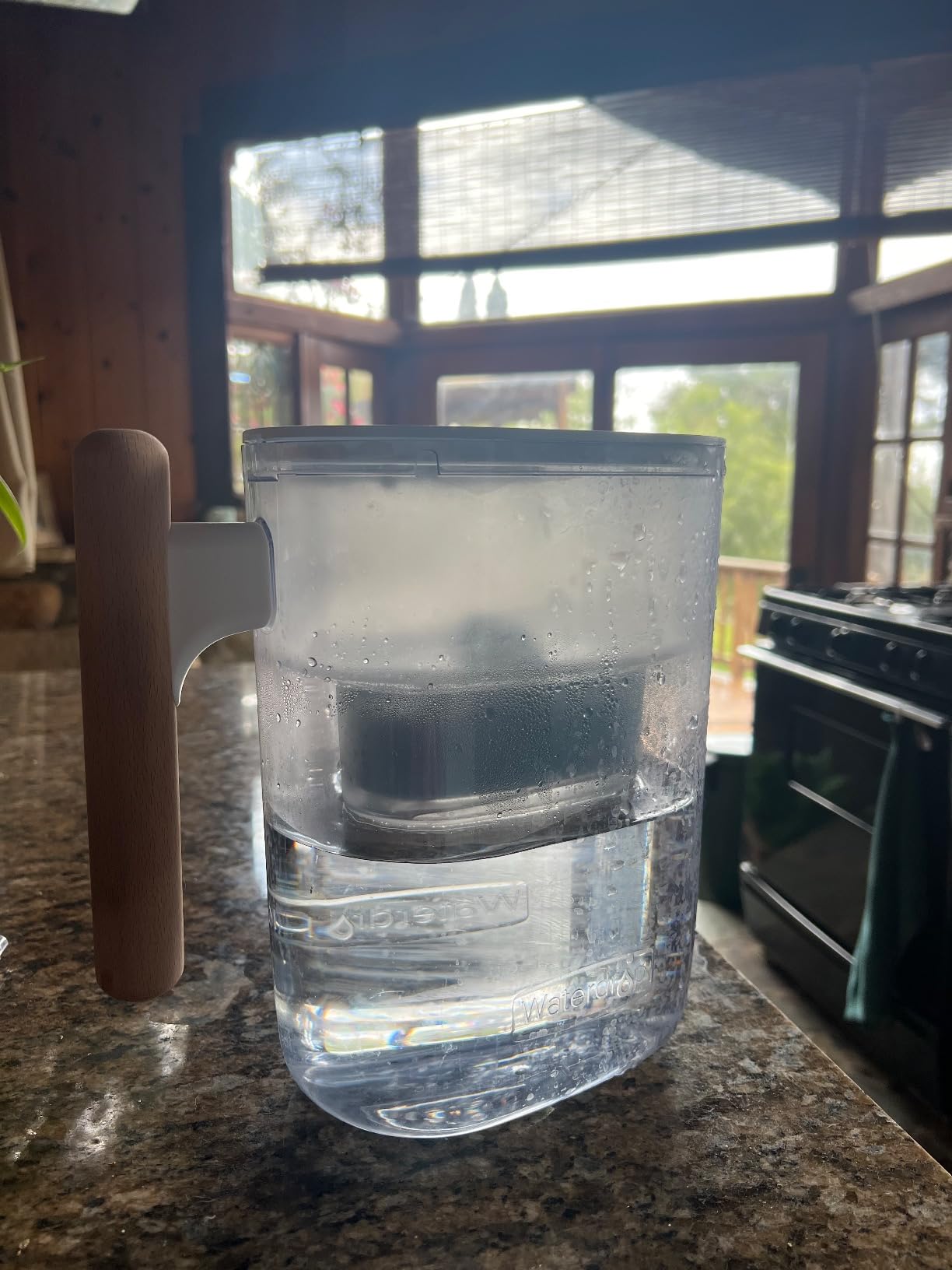 Waterdrop PT-04C-A Alkaline Water Filter Pitcher, 10-Cup Capacity, Clear customer photo 2