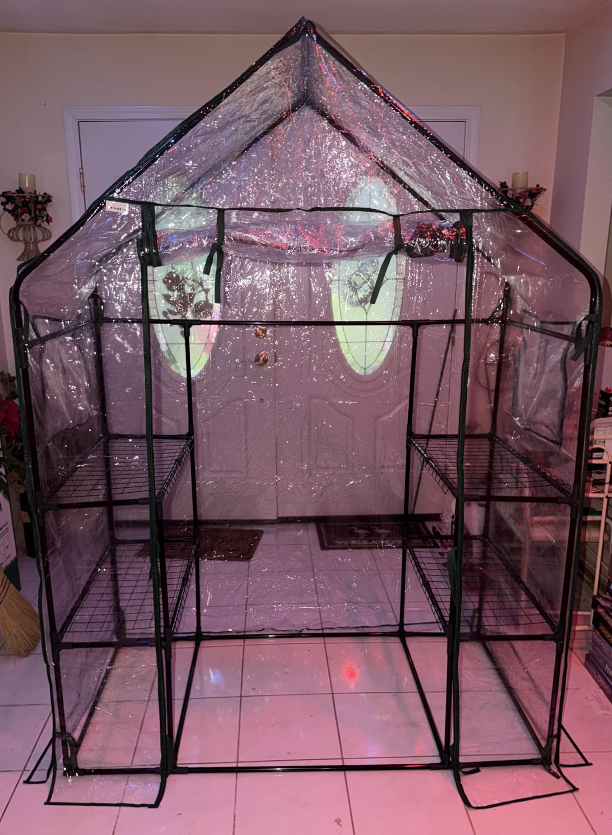 VIVOSUN Transparent 57 x 29 x 77-Inch Mini Walk-in Green House with Windows and Anchors, Plant Garden Hot House customer photo 1