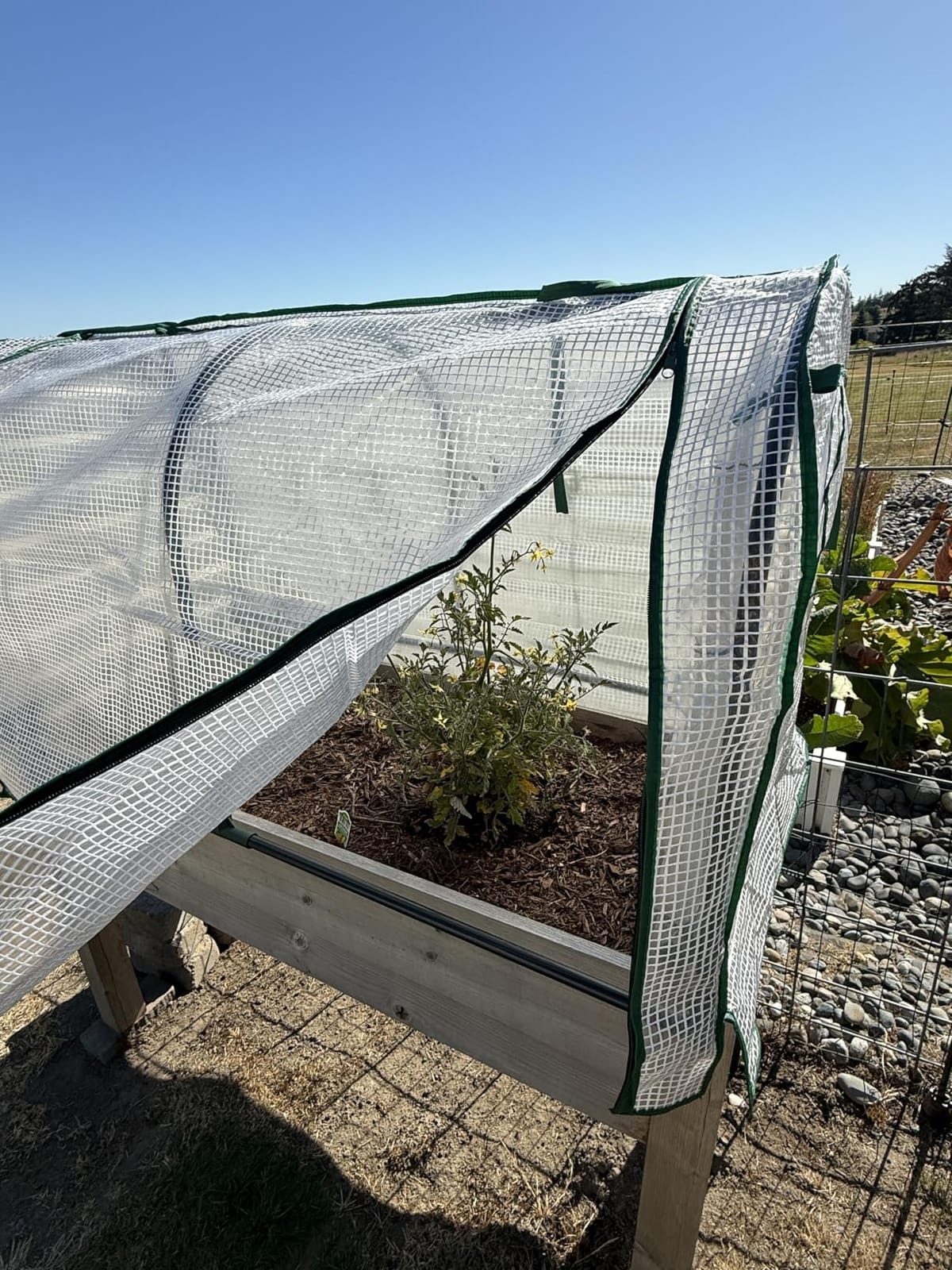 VIVOSUN Transparent 57 x 29 x 77-Inch Mini Walk-in Green House with Windows and Anchors, Plant Garden Hot House customer photo 2