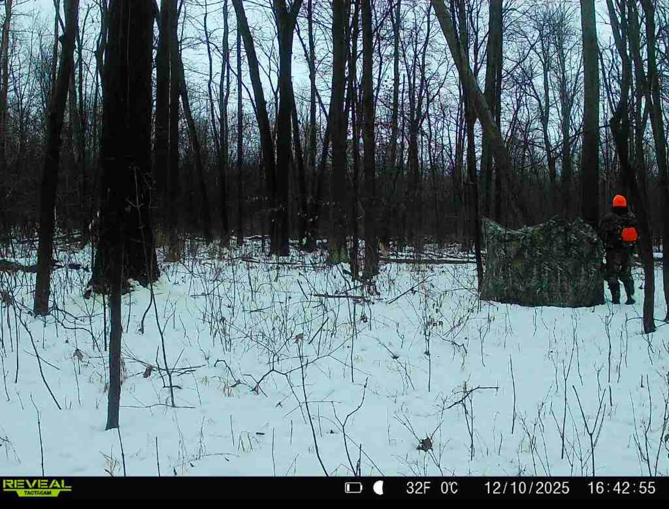TIDEWE Hunting Blind, 270°/360° See Through Ground Blind customer photo 1