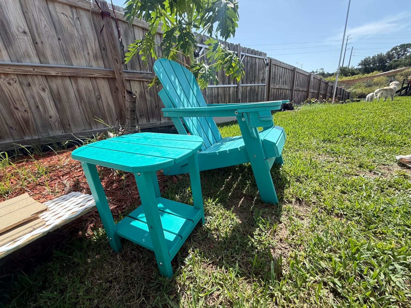 GREENVINES Folding-Adirondack-Chairs Set of 2, HDPE All Weather, Black customer photo 1