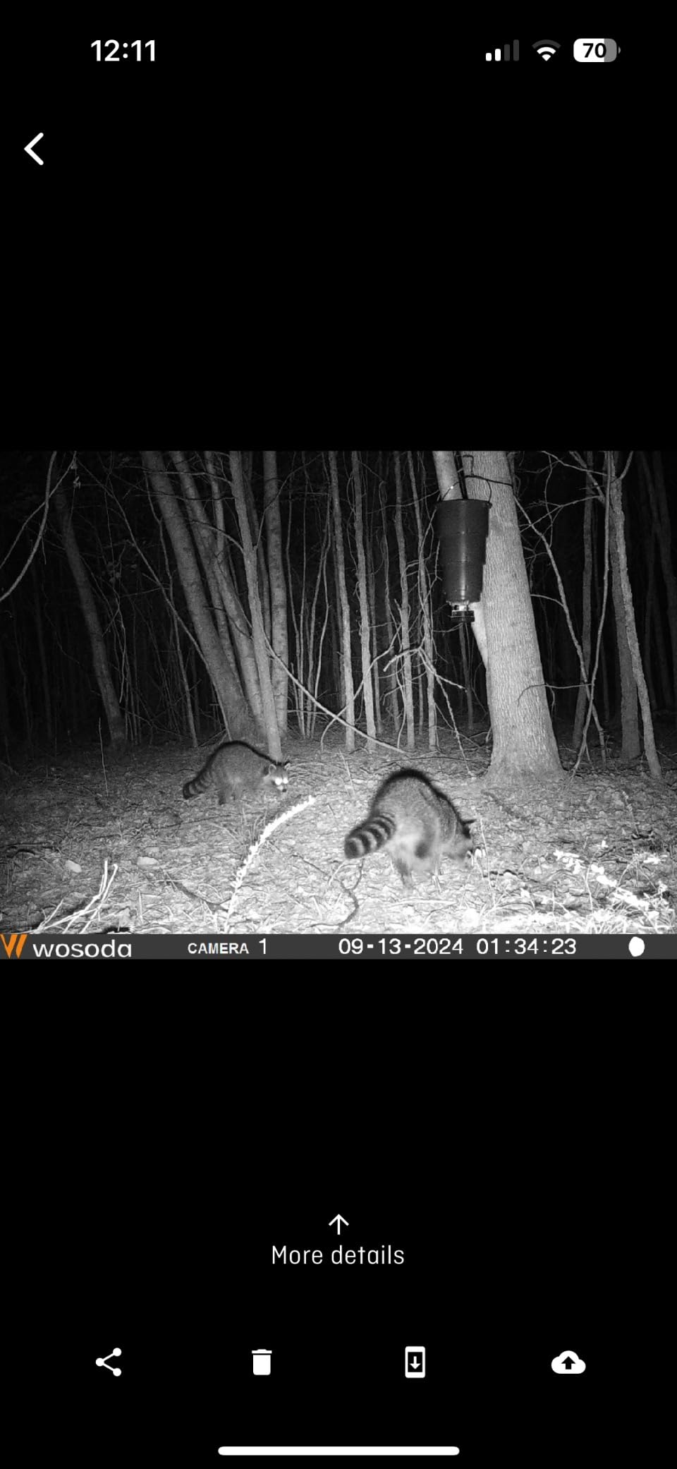 WOSODA 2 Pack Trail Cameras with Night Vision Motion Activated Waterproof,48MP Hunting Game Camera,1080P HD Trail Cam for Wildlife Monitoring,Outdoor Scouting & Security(Non-Cellular Non-WiFi) customer photo 2
