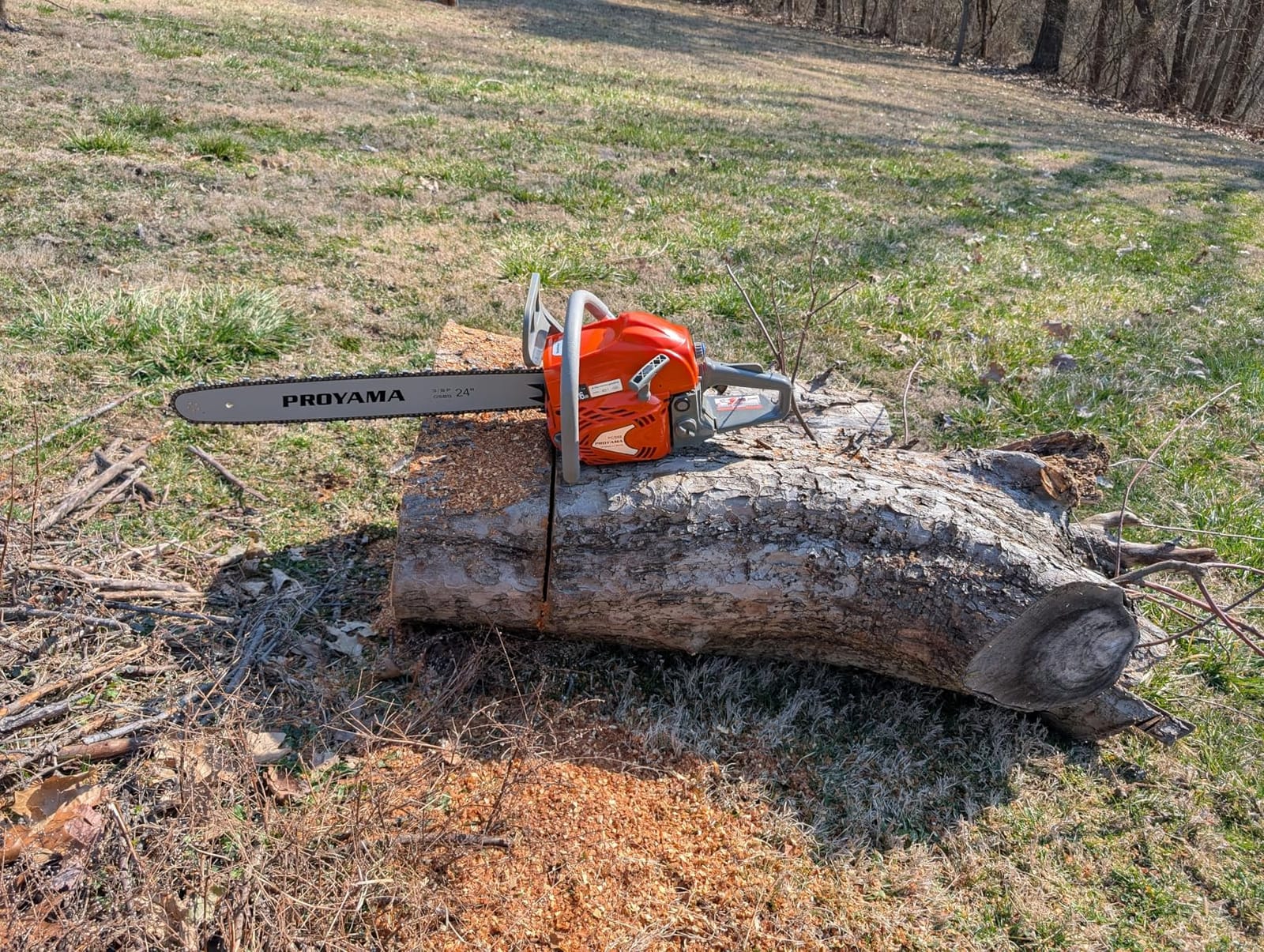 PROYAMA 68CC Gas Powered Chainsaw, 24 Inch 20 Inch Top Handle Chain Saw customer photo 2