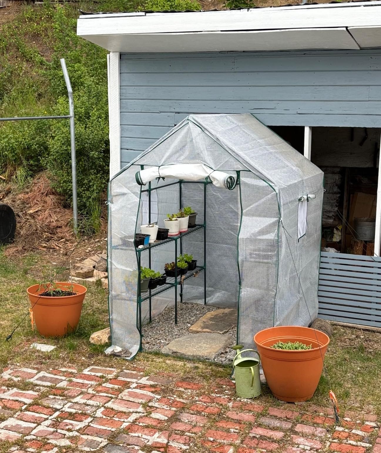 56x55x78 Walk-in Greenhouse for Outdoors, 3-Tier Plant House with 8 Shelves customer photo 2