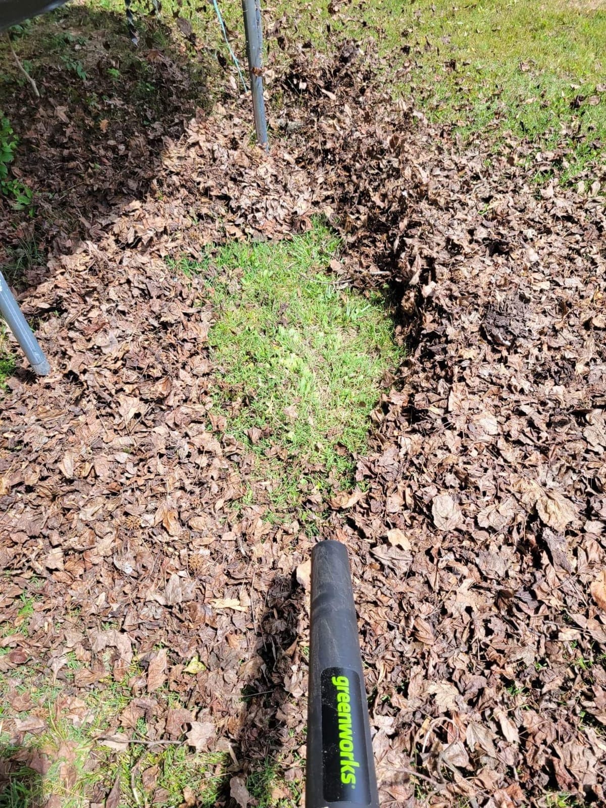 Greenworks 40V Leaf Blower / Vacuum, 505 CFM, 5.0 Ah Battery and Charger customer photo 1