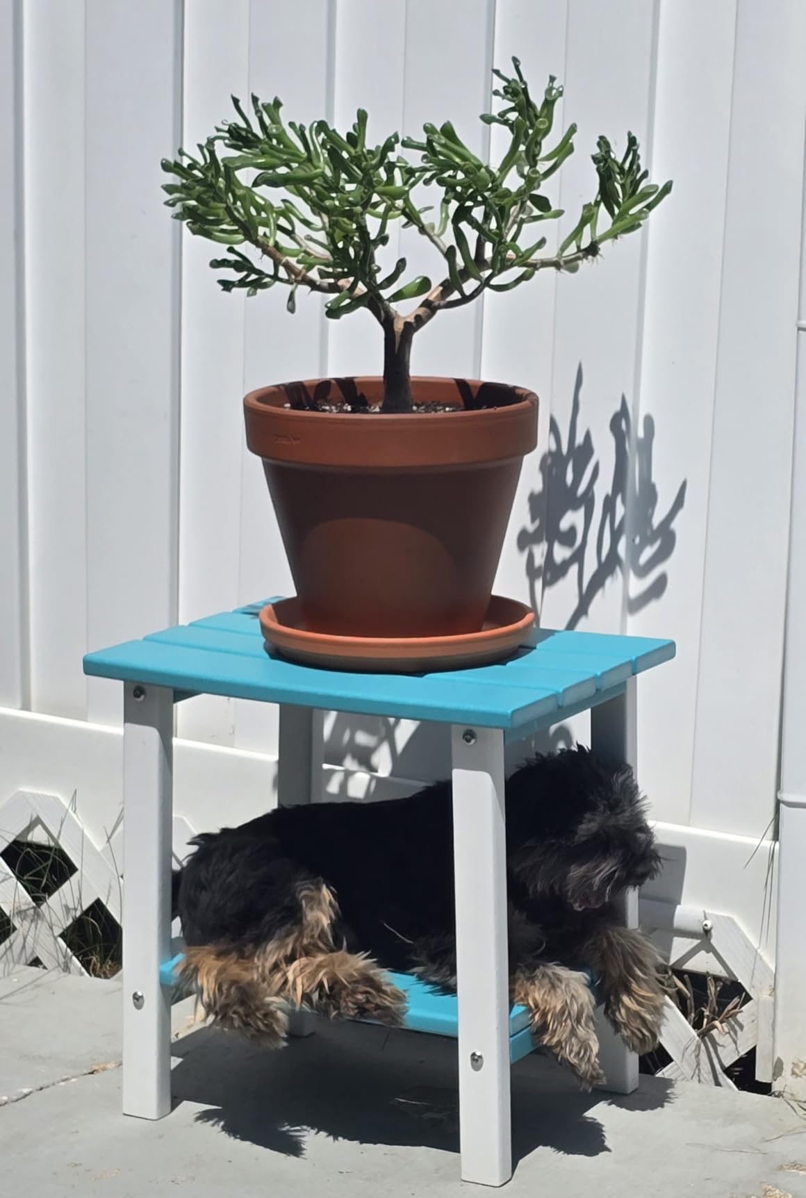 Apolimi Adirondack Outdoor Side Table, 2-Tier Sturdy Patio End Table Weather Resistant, 16.5