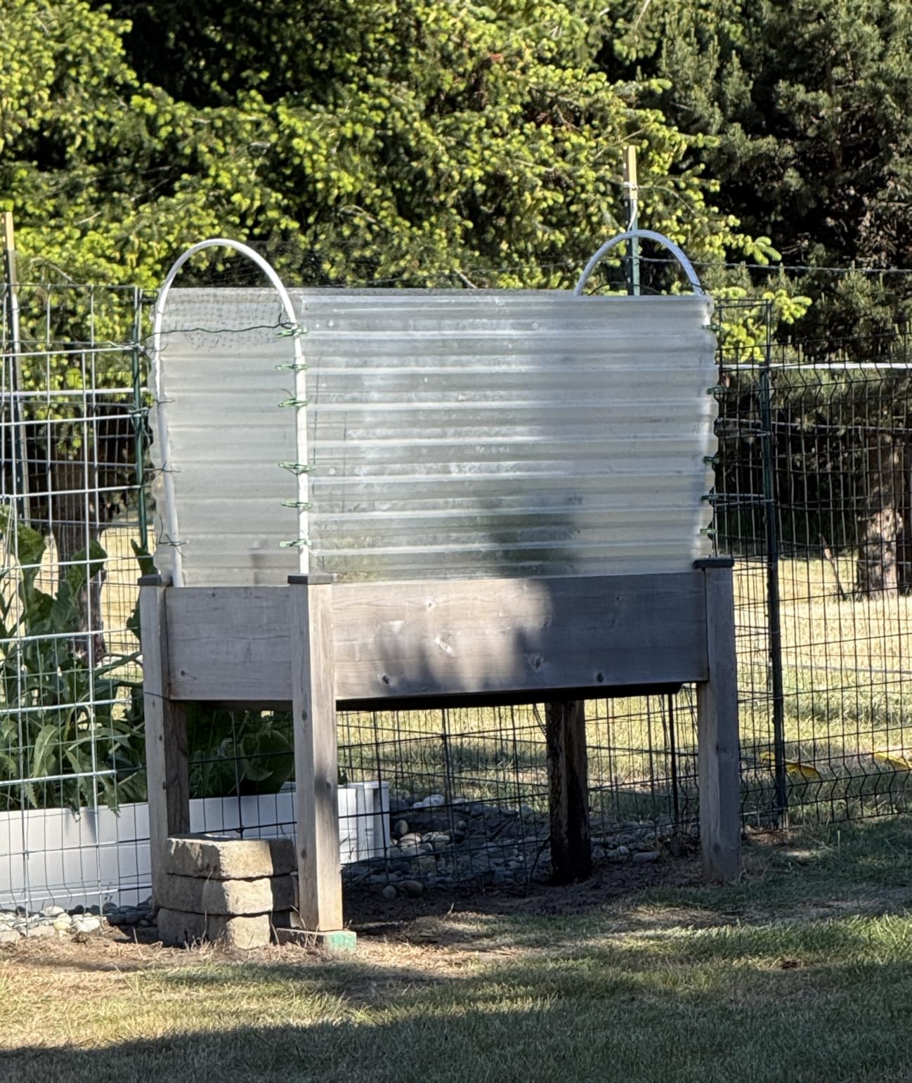 VIVOSUN 39x39x63-Inch Portable Walk-in Greenhouse, with PVC Cover & Detachable Base, Instant Pop-up and Folding, Mini Greenhouse with Roll-Up Door & Mesh Window for Indoor Outdoor, Wind Ropes Included customer photo 2