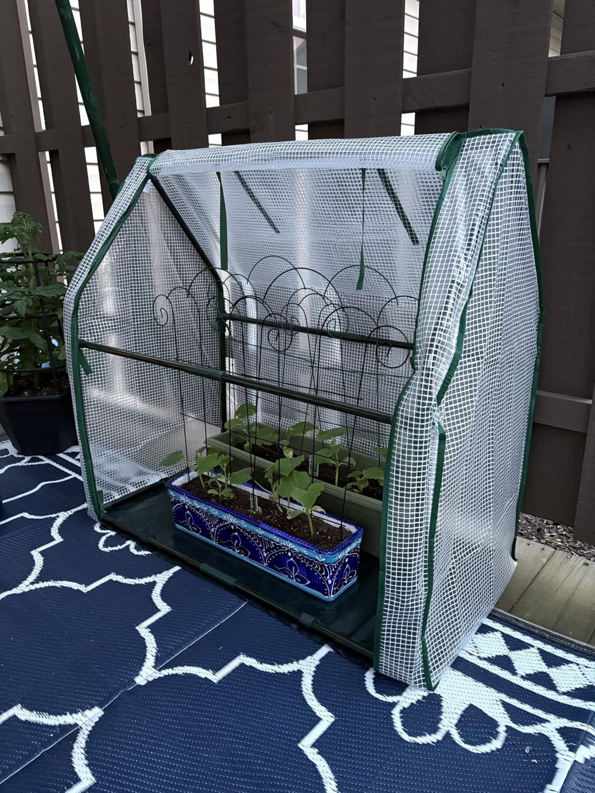 Mini Greenhouse for Indoor Outdoor: Ohuhu Tabletop Portable Green House with Waterproof Pad for Small Plants Nursery Germination, 36