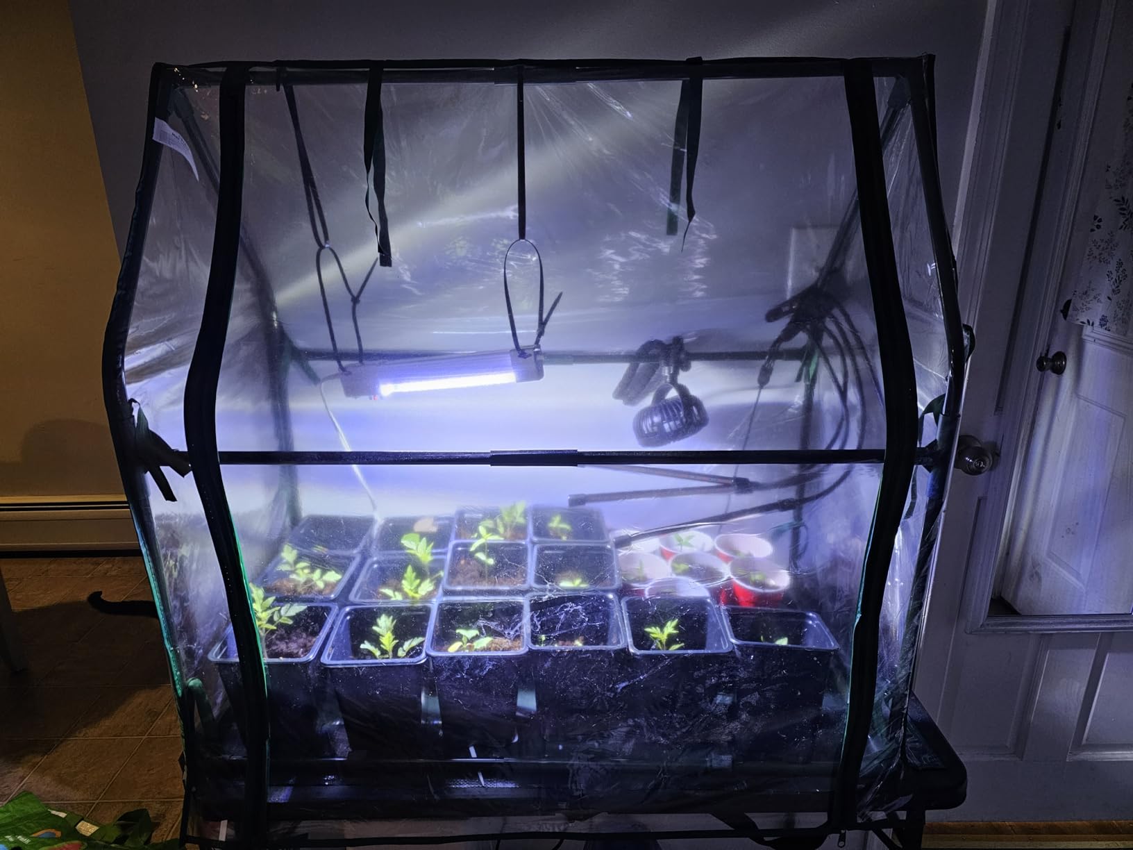 Mini Greenhouse for Indoor Outdoor: Ohuhu Portable Green House with Waterproof Pad for Small Plants Nursery Germination, 36