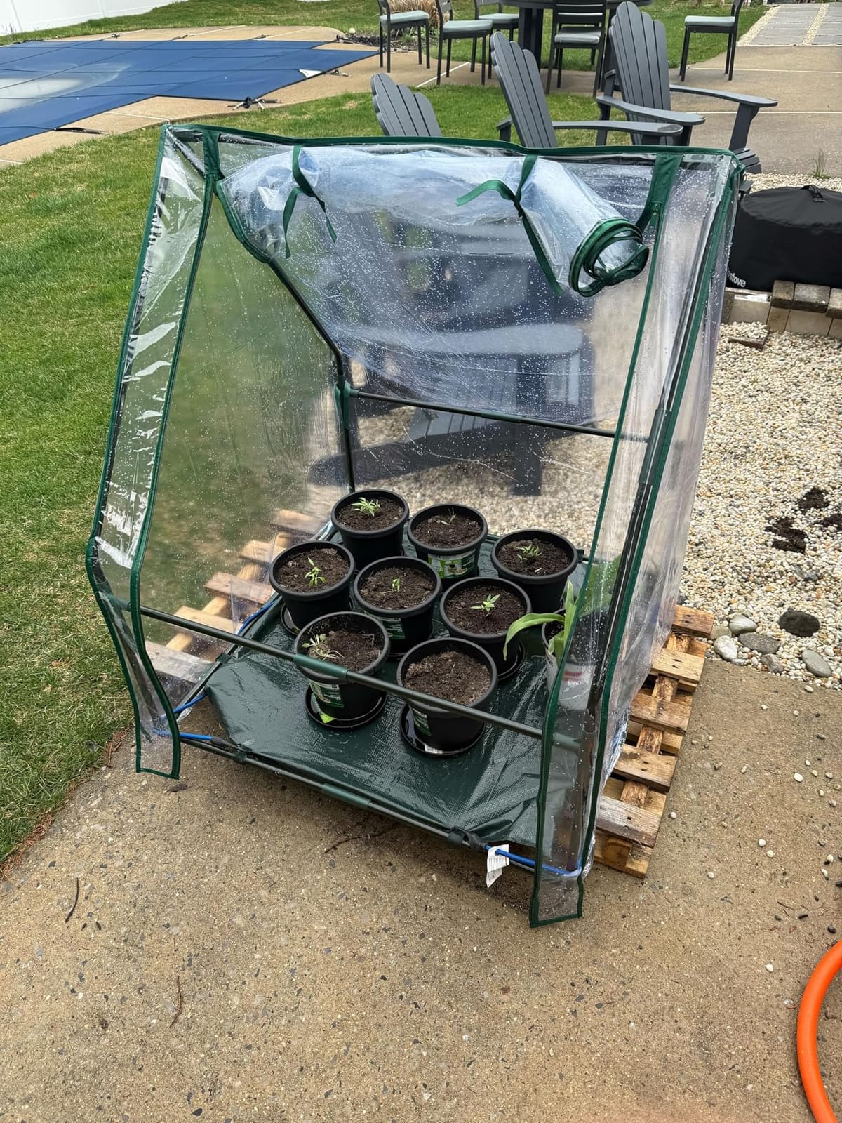 Mini Greenhouse for Indoor Outdoor: Ohuhu Portable Green House with Waterproof Pad for Small Plants Nursery Germination, 36