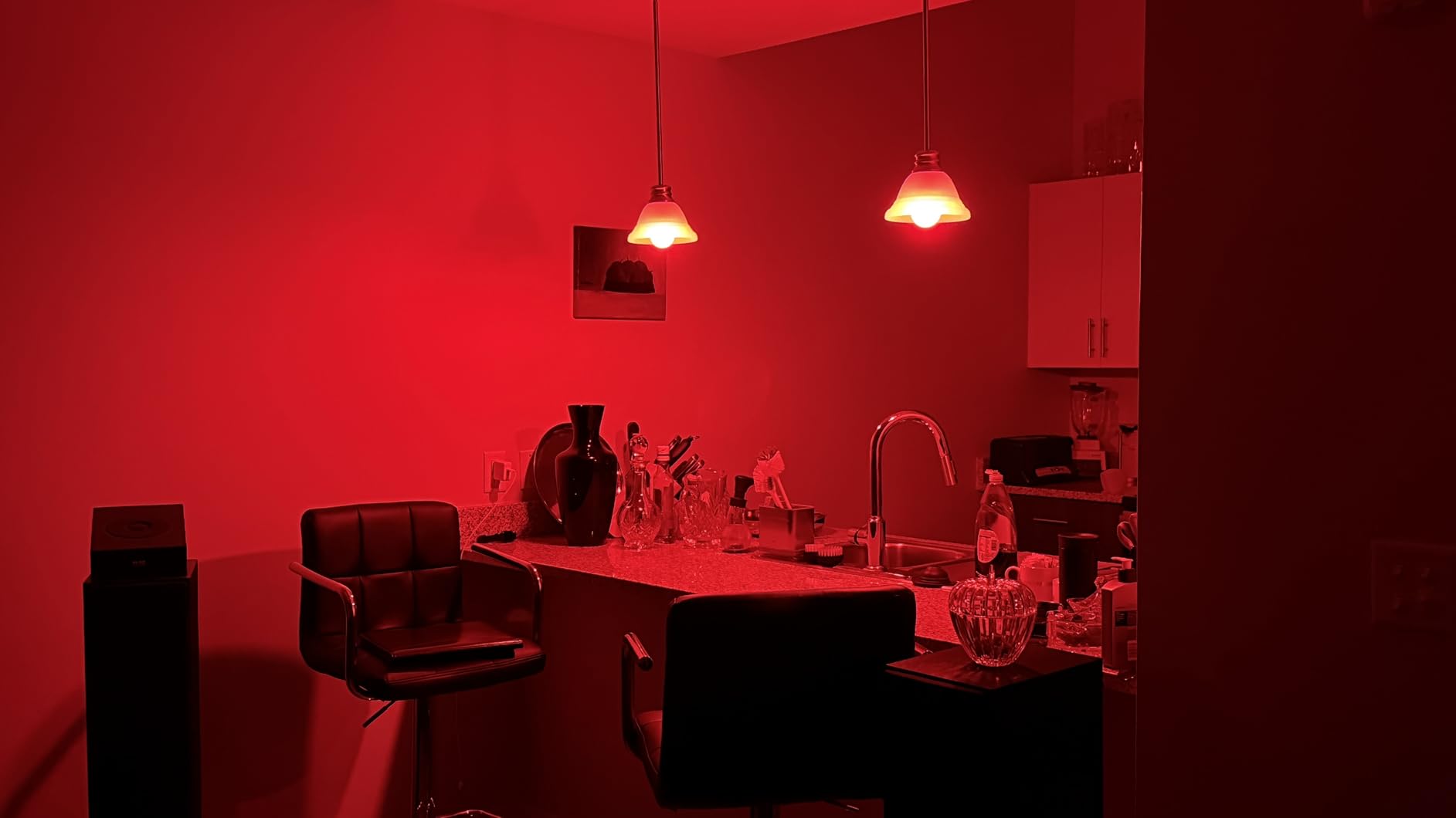 Tapo Multicolor Dimmable Smart Light Bulbs, L535E(2-Pack), A19 E26, 1100LM customer photo 1