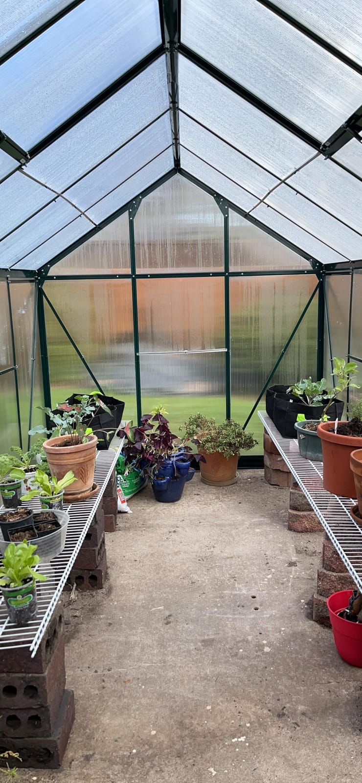 Outsunny 6' x 10' Greenhouse for Outdoors, Polycarbonate Greenhouse with Rain Gutter and Roof Vent, Aluminum Walk-in Green Houses for Outside for Patio Backyard Garden, Gray customer photo 1