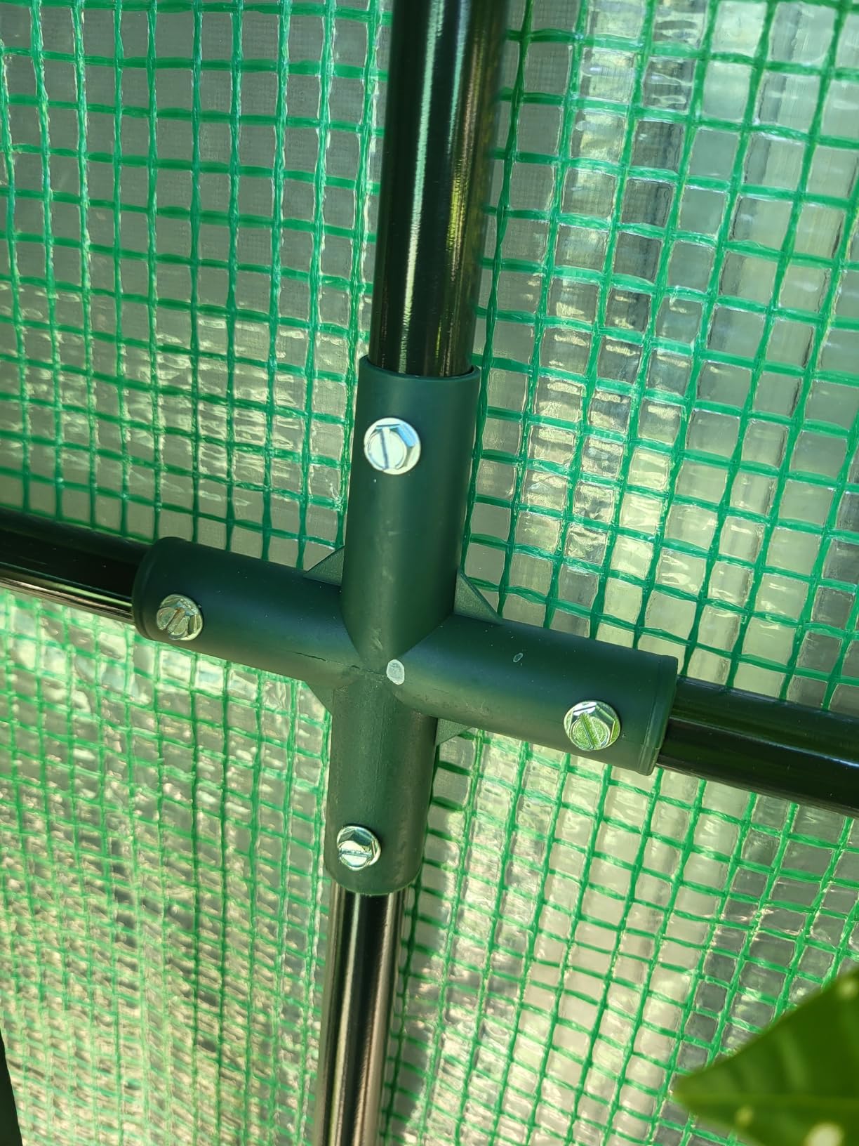 Lean to Greenhouse for Outdoors: Ohuhu Portable Tomato Green House Heavy Duty with Roll-Up Zippered Door, Tall Plastic Greenhouses for Outside Winter Plants Growing Shed for Backyard, 6.6x2.5x5.6 FT customer photo 1